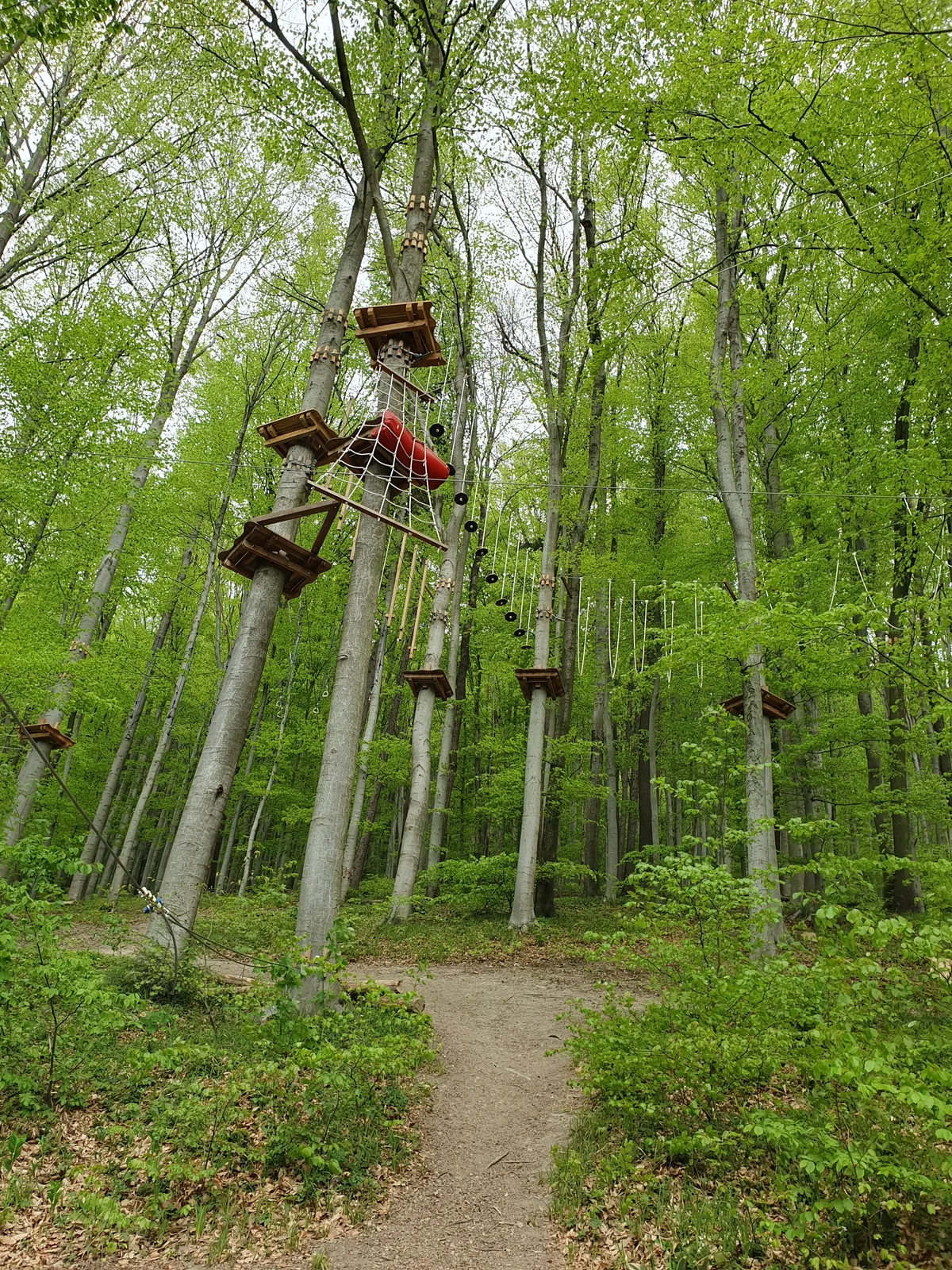 Kletterpark Purkersdorf bei Wien