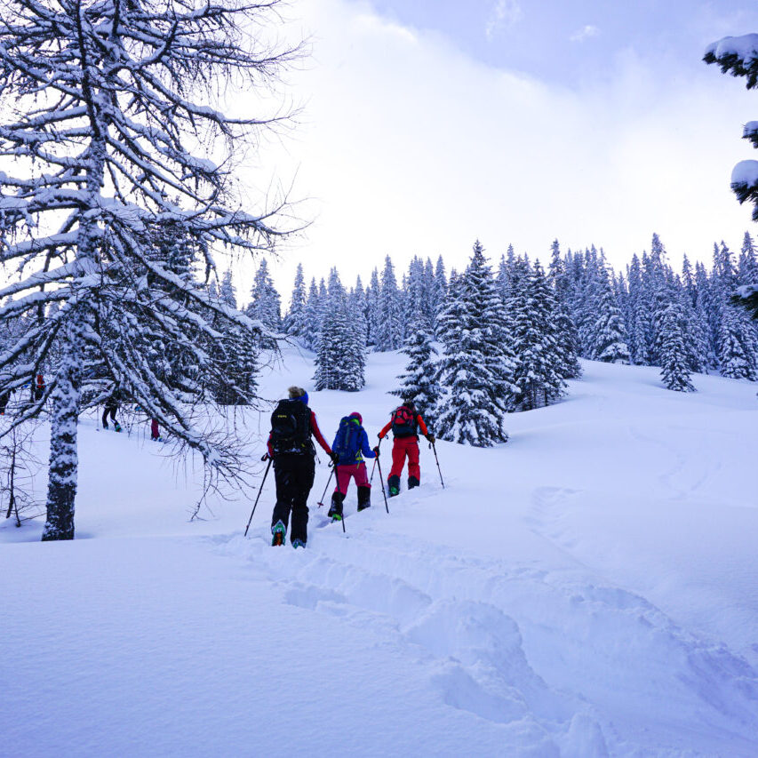 Alpinschule high life - Winter- Skitouren